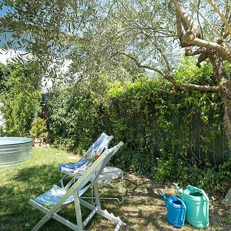 公寓 Chiara Tra Le Lucchesi! *